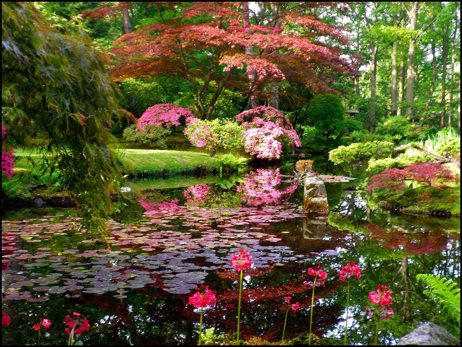 One Of The Largest Japanese Gardens In Europe The Hague The